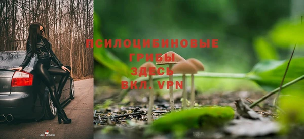 ECSTASY Абинск