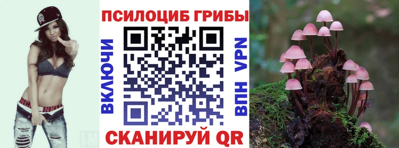 блэк спрут ссылки  где продают наркотики  Черноголовка  Галлюциногенные грибы Magic Shrooms 