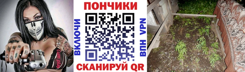 цена наркотик  Черноголовка  МАРИХУАНА семена 